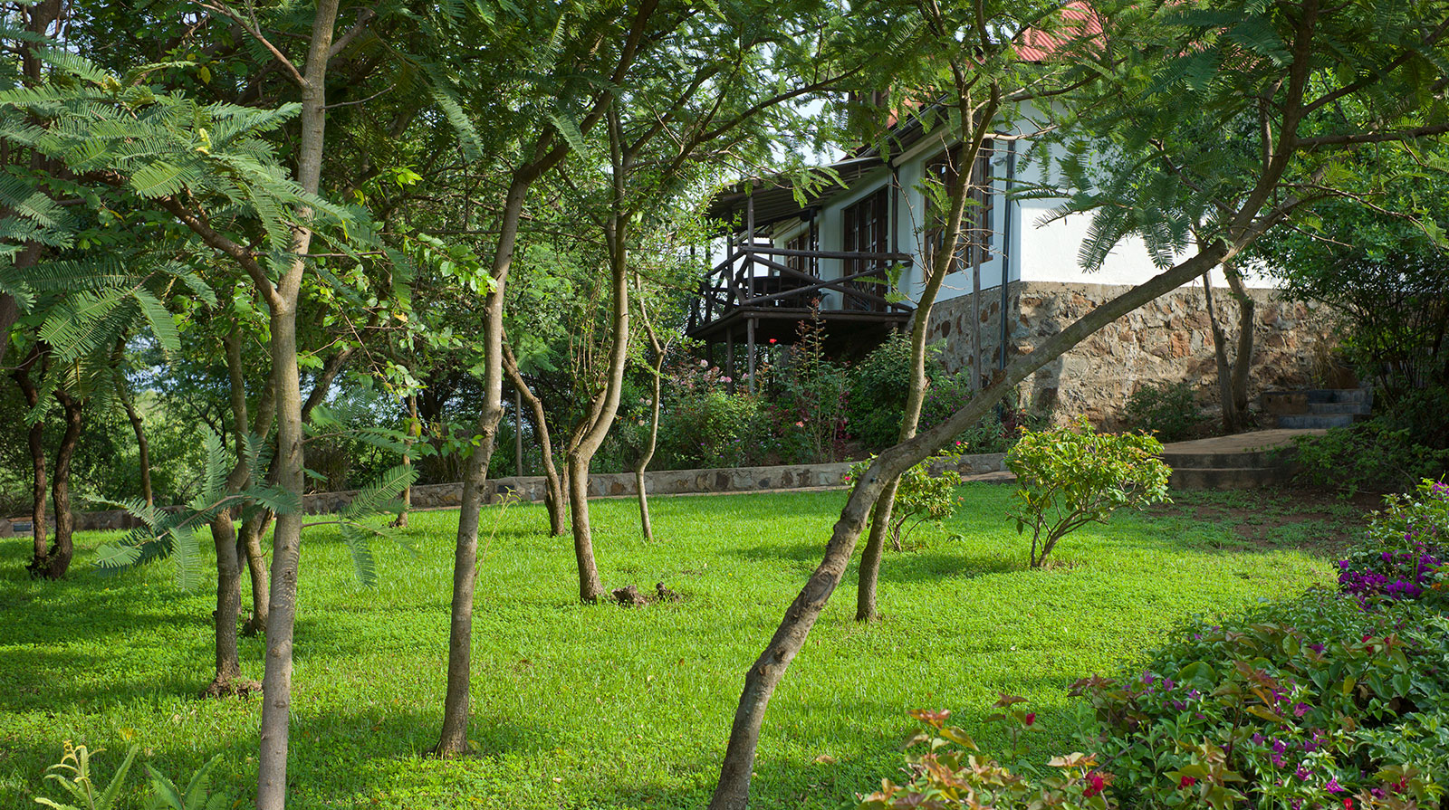 Bashay Rift Lodge - Oasis verde
